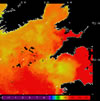 AVHRR sea surface temperature 2014-10-07 – 2014-10-13