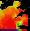 AVHRR sea surface temperature 2014-09-09 – 2014-09-15