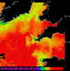 AVHRR sea surface temperature 2014-08-19 – 2014-08-25