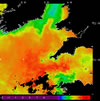 AVHRR sea surface temperature 2014-08-05 – 2014-08-11