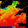 AVHRR sea surface temperature 2014-05-13 – 2014-05-19