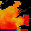 AVHRR sea surface temperature 2014-10-14 – 2014-10-20