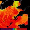 AVHRR sea surface temperature 2014-05-20 – 2014-05-26