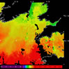 AVHRR sea surface temperature 2014-03-25 – 2014-03-31