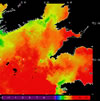 AVHRR sea surface temperature 2014-08-26 – 2014-09-01