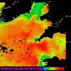 AVHRR sea surface temperature 2014-07-29 – 2014-08-04