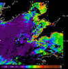 MODIS chlorophyll OC5 2014-08-05 – 2014-08-11