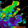 MODIS chlorophyll OC5 2014-05-20 – 2014-05-26