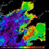 MODIS chlorophyll OC5 2014-08-26 – 2014-09-01