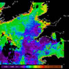 MODIS chlorophyll OC5 2014-05-27 – 2014-06-02