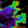 MODIS chlorophyll OC5 2014-07-29 – 2014-08-04